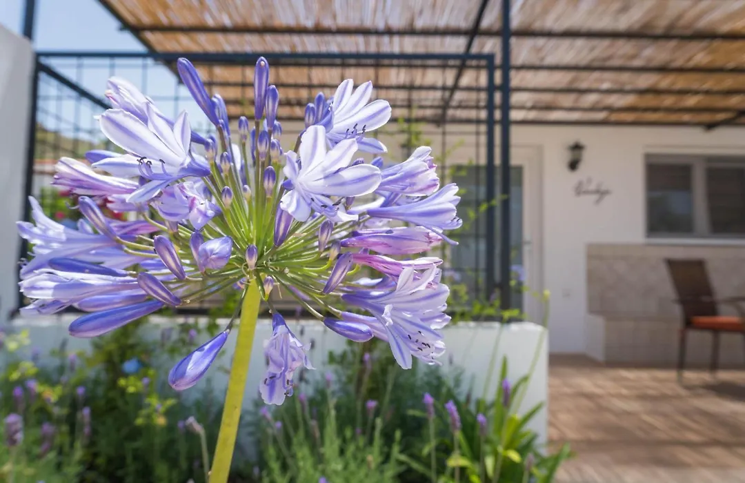 B&B Cortijo El Sarmiento - Adults Only-1